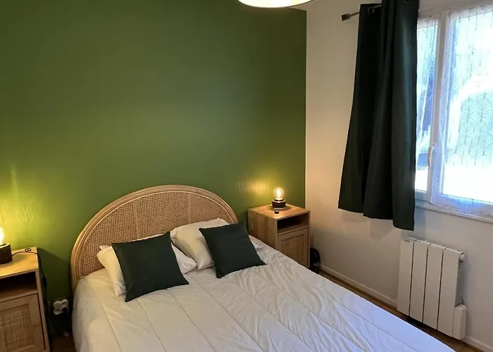 T2 Avec Jardin, Proche Et Centre, Parking Prive, Animaux Acceptes, Wi-fi Gratuit - Fr-1-487-342