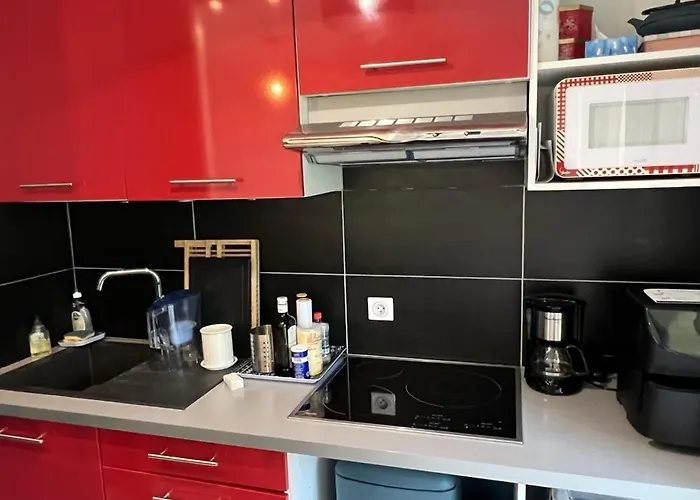 T2 Avec Jardin, Proche Et Centre, Parking Prive, Animaux Acceptes, Wi-fi Gratuit - Fr-1-487-342